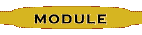 Module