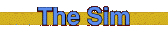 The Sim