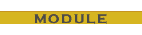Module