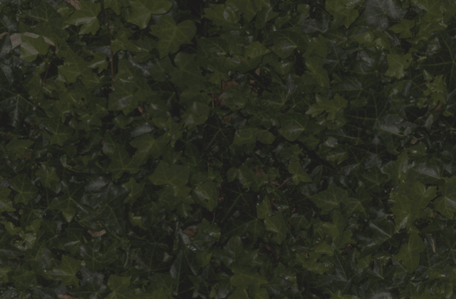 GreenleavesMRR